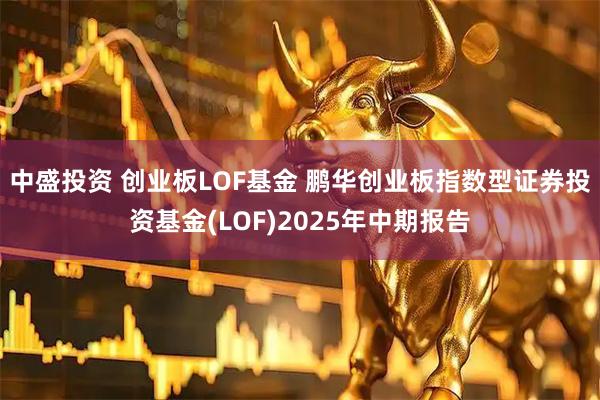中盛投资 创业板LOF基金 鹏华创业板指数型证券投资基金(LOF)2025年中期报告