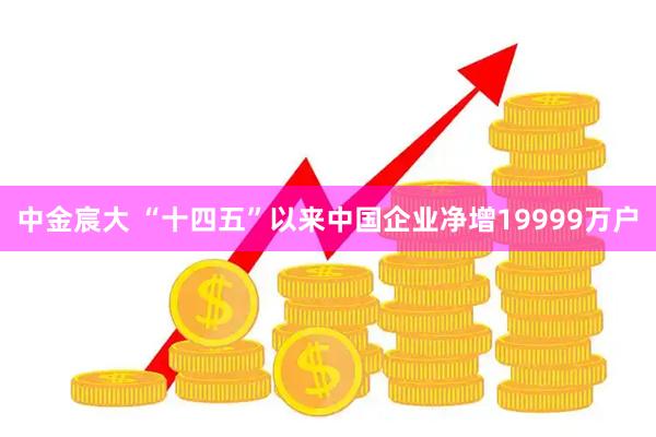 中金宸大 “十四五”以来中国企业净增19999万户
