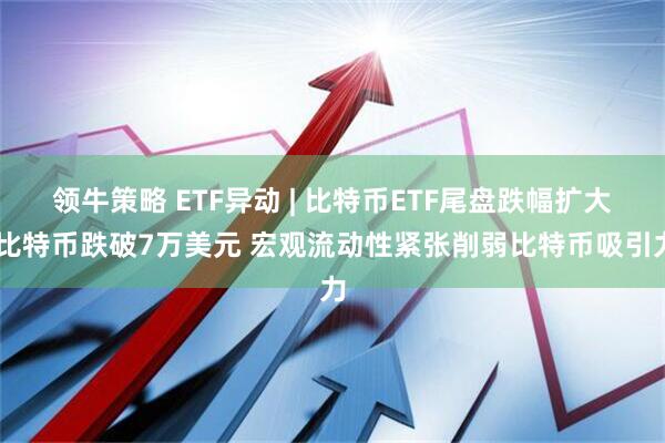领牛策略 ETF异动 | 比特币ETF尾盘跌幅扩大 比特币跌破7万美元 宏观流动性紧张削弱比特币吸引力