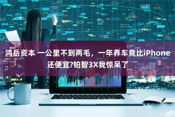 鸿岳资本 一公里不到两毛，一年养车竟比iPhone还便宜?铂智3X我惊呆了