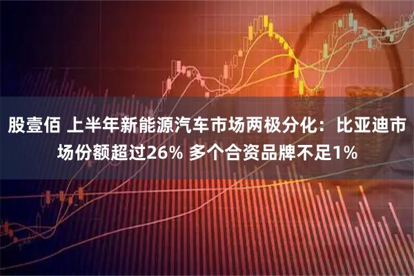 股壹佰 上半年新能源汽车市场两极分化：比亚迪市场份额超过26% 多个合资品牌不足1%